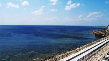 ビーチ / オーシャン ビュー / 5