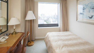 [禁煙] ビジネスシングル (15平米・2名利用) シングルベッド1台