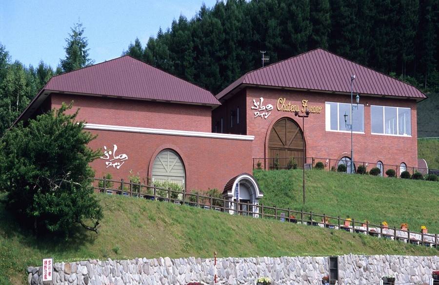 美しい自然に癒される
1泊2日の富良野旅 / 2