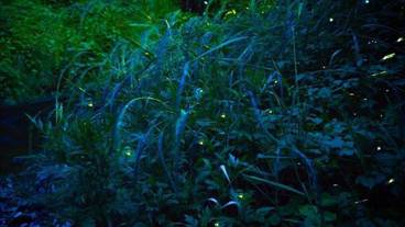 施設からの眺望 / 33