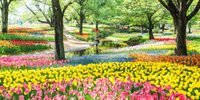 春の東京、ひとり旅。まったり過ごせる公園＆おさんぽグルメ【5選】
