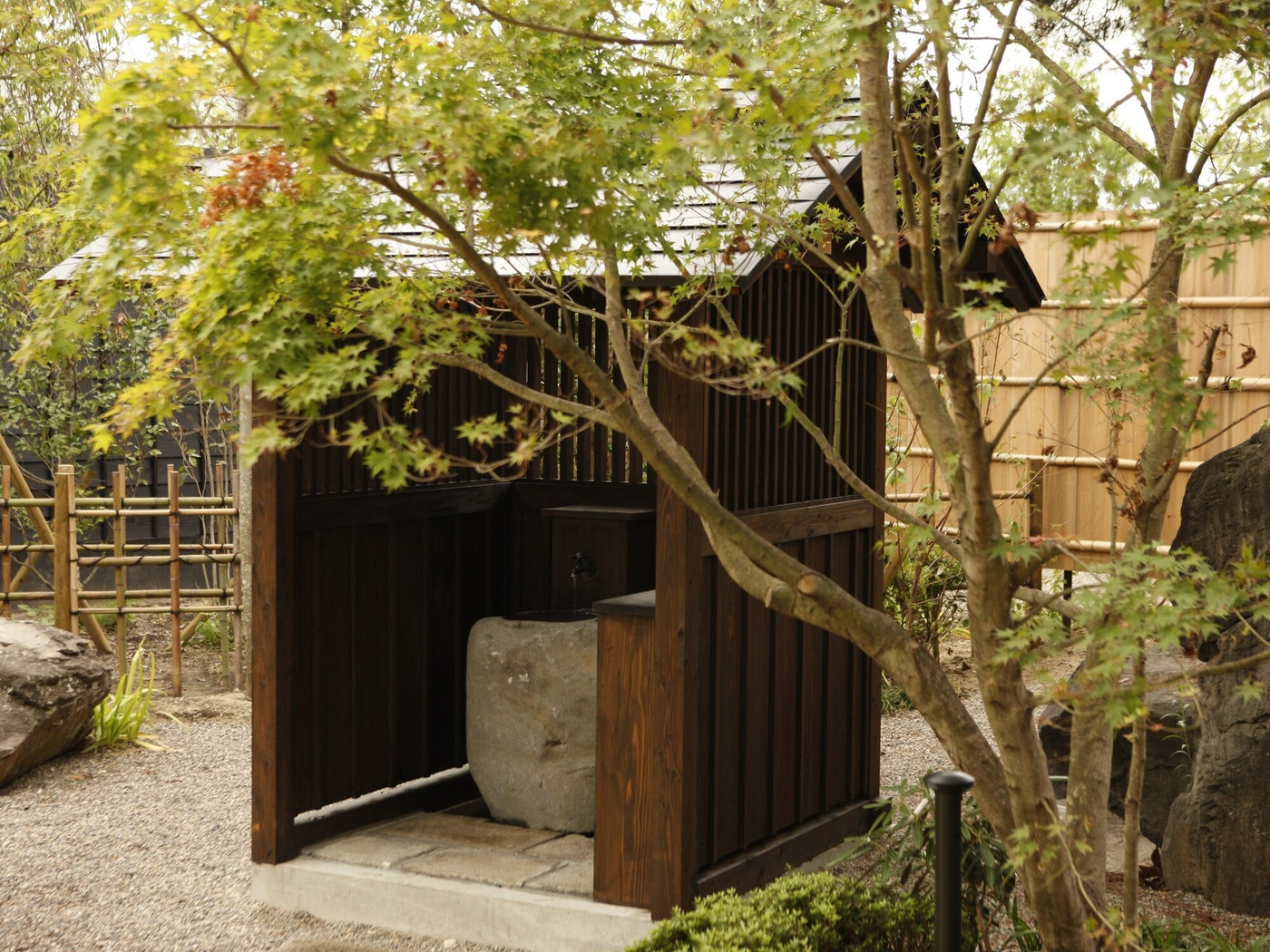 「飲める温泉」で、身体の中からエナジーチャージ3724165