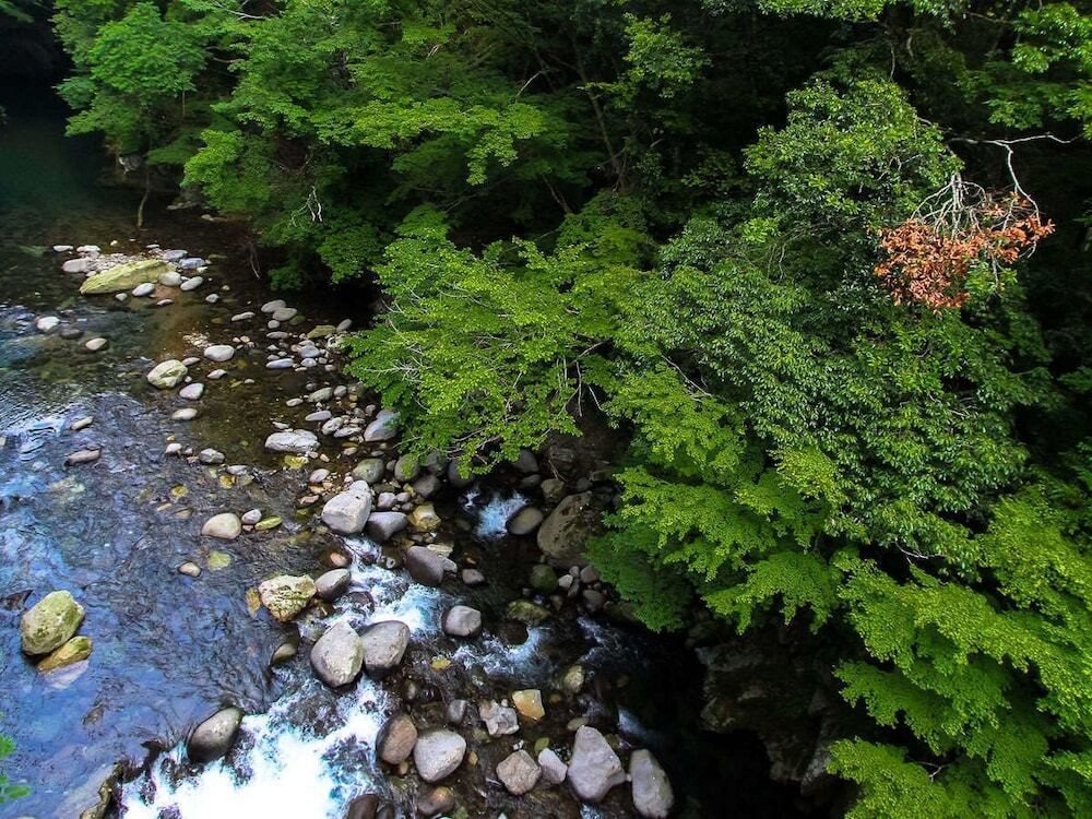 施設からの眺望