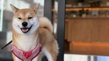 施設の入り口 / 12