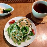 茶のこ（チャノコ）