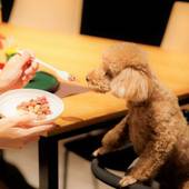 レジーナリゾート旧軽井沢（長野県 リゾートホテル） / 3