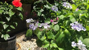 施設の敷地 / 17