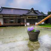 別邸 向日葵（栃木県 リゾートホテル） / 3