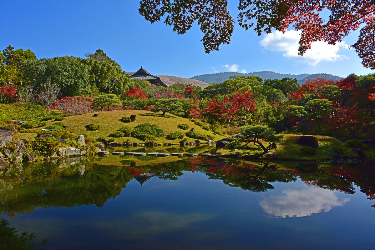 奈良公園の紅葉