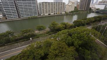 部屋からの景観 / 7