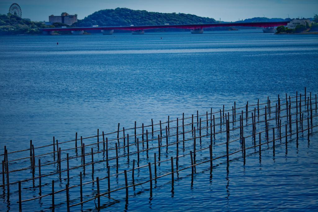 浜名湖は「牡蠣」の養殖場としても知られる823688