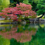 桜に蓮に紅葉に…季節の移ろいを感じる名古屋「徳川園」