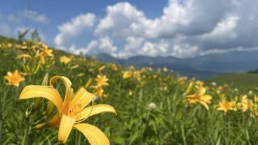 観光スポット / 4