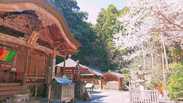 観光スポット / 13