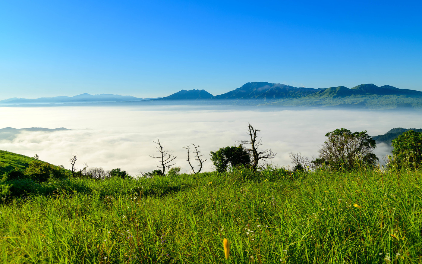 雲海　朝焼けに美しく輝く雲海　絶景風景　　阿蘇外輪山　日本　熊本県　阿蘇2020年