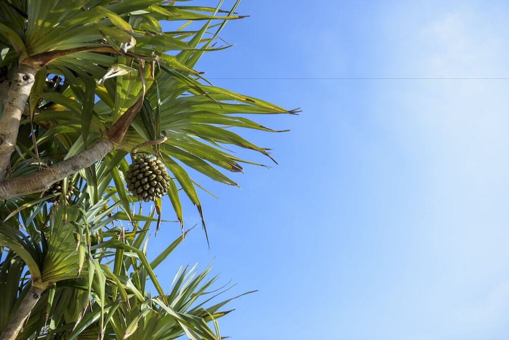 施設からの眺望