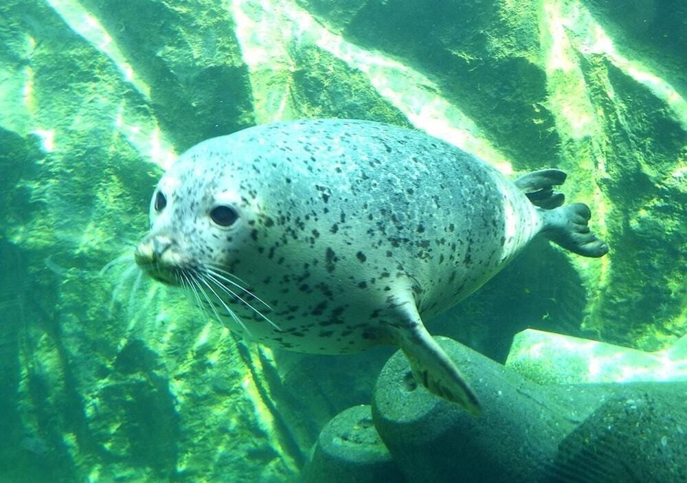 フィットネス設備