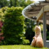 汀渚 ばさら邸（三重県 リゾートホテル） / 5