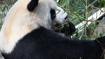 観光スポット / 12