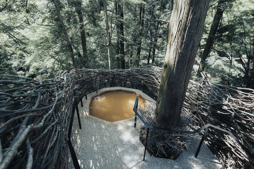 コルボ・デ・オウロ④