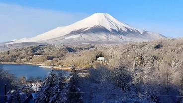 ランド ビュー / 29