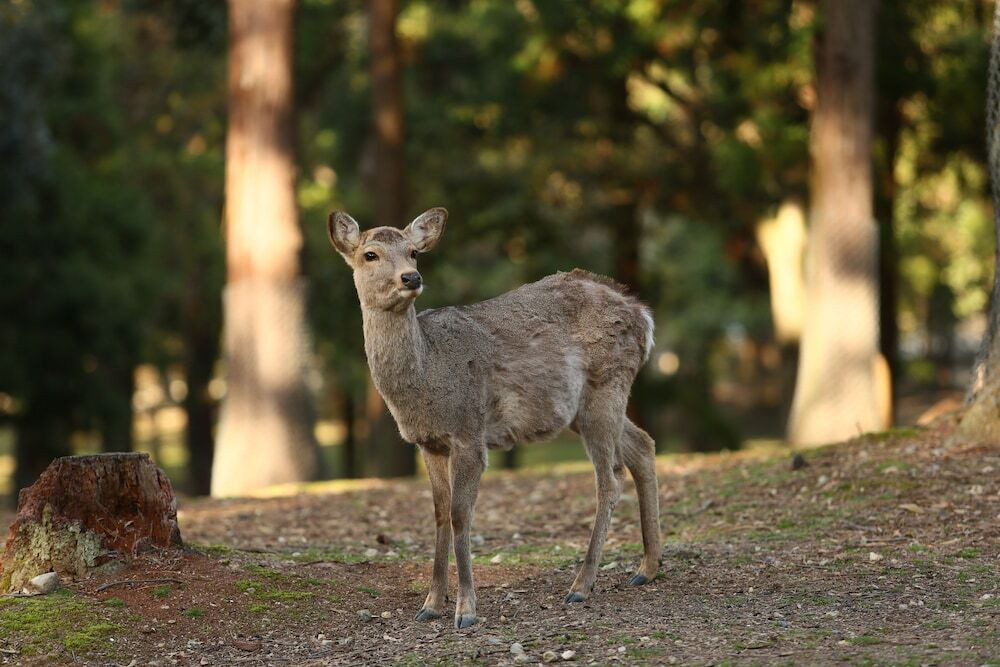ホテル敷地内の風景①