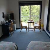 海とエステと美肌風呂の宿 天使のイルカ!(静岡県 ペンション) / 5