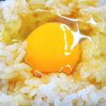産みたての卵で「卵かけご飯」食べ放題♡千葉・成田空港近く『たまご屋さんコッコ』