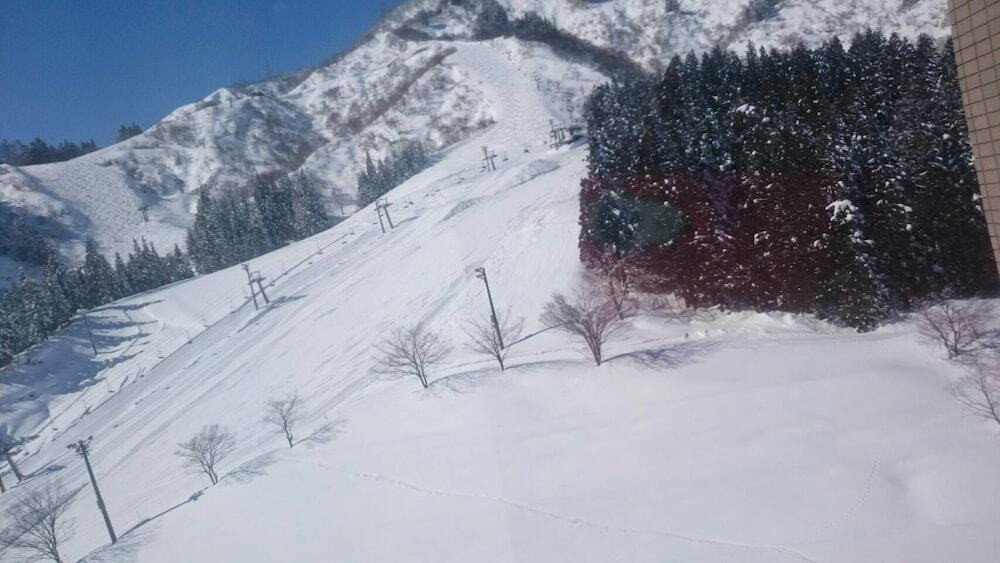 マウンテン ビュー