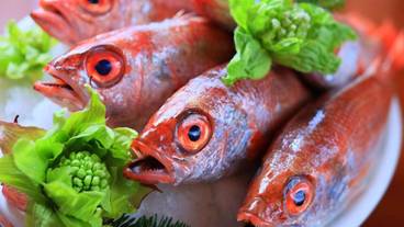 食事・飲み物 / 9