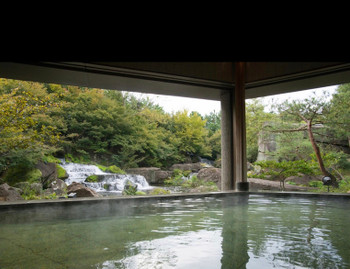 「ホテル花水木」 その他 116133132 