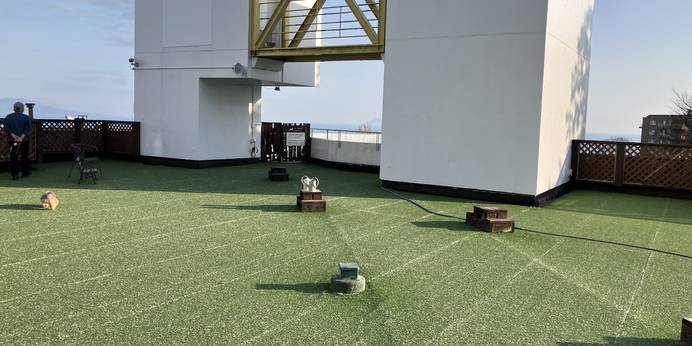 伊豆高原わんわんパラダイス ホテル&コテージ(静岡県 リゾートホテル) / 1