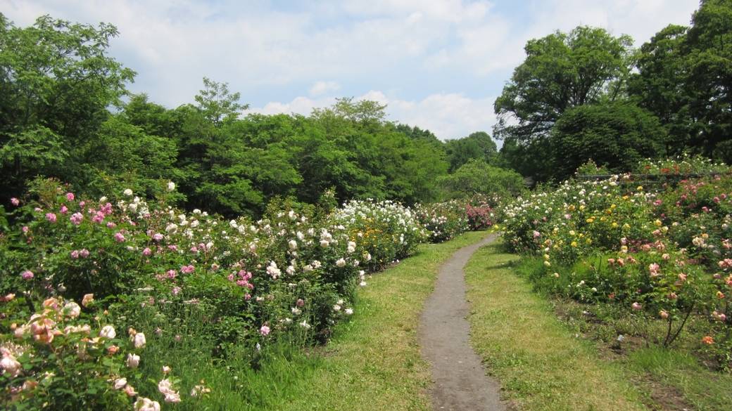 高原の四季を感じる
「軽井沢タリアセン」へ / 2