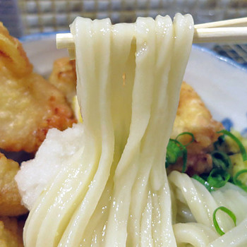 「たけうちうどん店」料理 1201277 