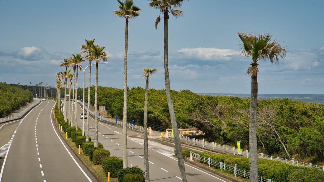 宮崎市内の風景 / 2