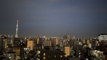 バー (施設内) / 15