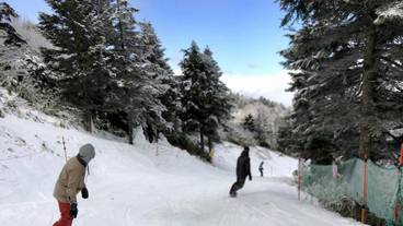 スノー スポーツとスキー / 1