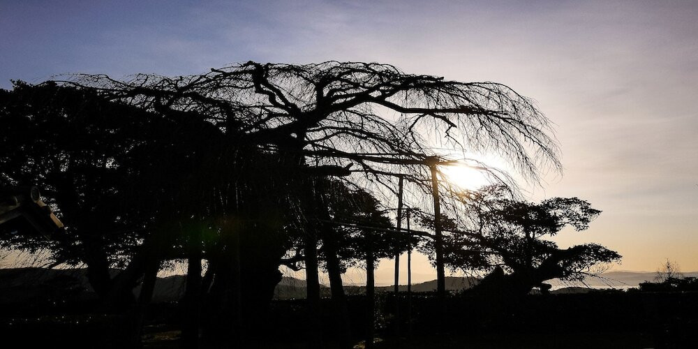 施設からの眺望