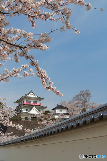 11.城山公園（涌谷城跡)1559360
