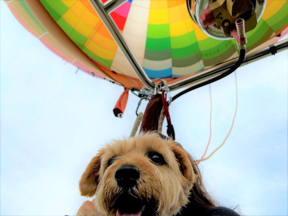 子供向けアクティビティ