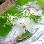 地元住民お墨付き！十条・東十条のおすすめ居酒屋10選