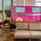 HOTEL 24sweets HAKUBA(長野県 リゾートホテル) / 2