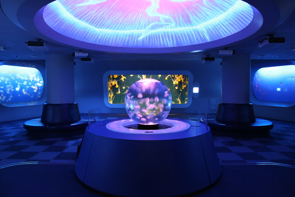 新江ノ島水族館2032338