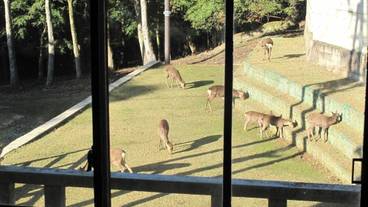 施設の敷地 / 24