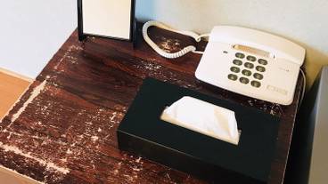 客室の設備とサービス / 24