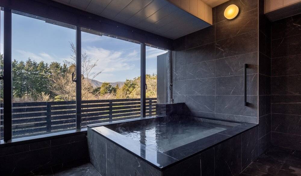 半露天風呂の温泉 / 1