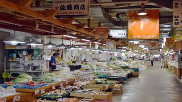 シティ ビュー / 8