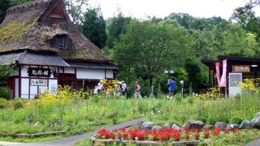 観光スポット / 10