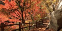 山梨絶景デート♪カップル日帰り旅行で巡るおすすめスポット10選