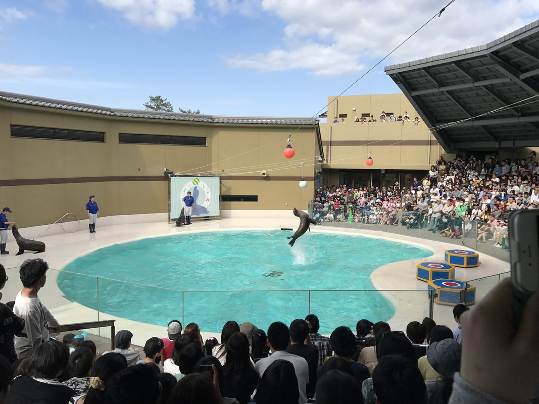 宮島水族館(みやじマリン)